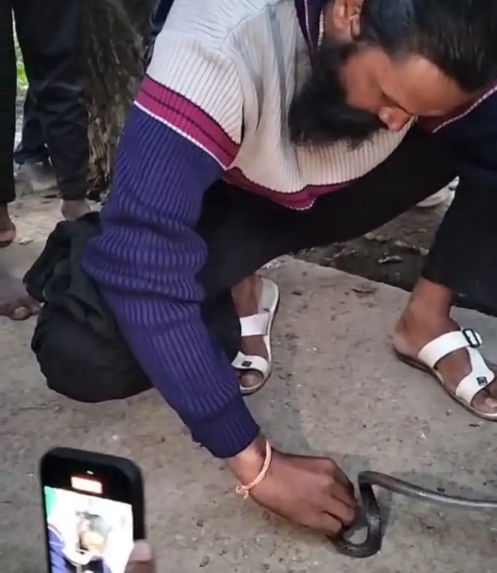 सर्प मित्र ख़ेम सिंह महाराज ने किया नागिन का रेस्क्यू, पेड़ में जाकर छिप गई थी नागिन